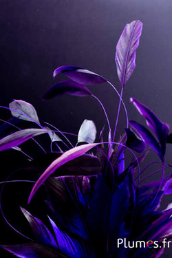 Haan zweep Body Split - 23-28 cm - zwart-aubergine